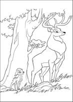 coloriage bambi et son pere observent le paysage